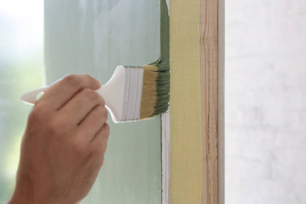 Best Basement Mold Removal  in North Logan, UT