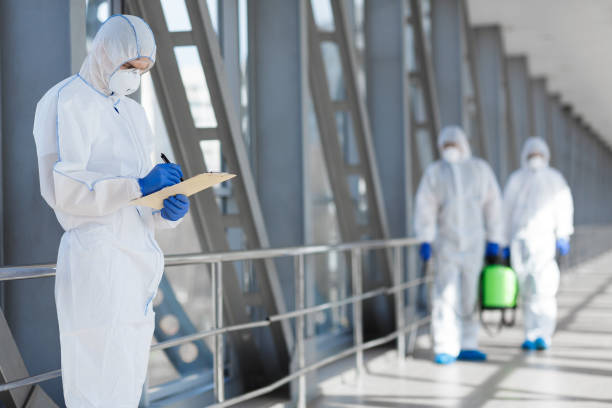 Best Emergency Mold Remediation  in North Logan, UT