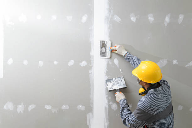 Best Black Mold Removal  in North Logan, UT