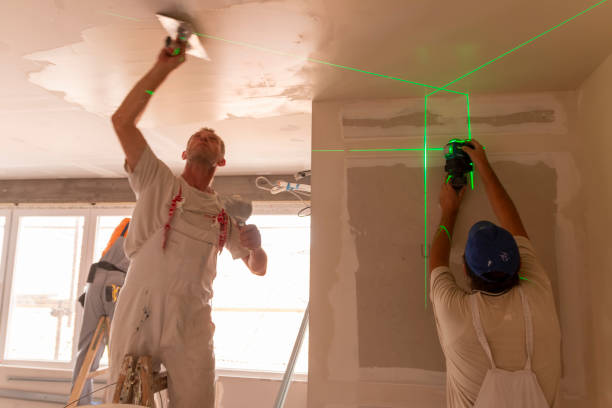 Best Attic Mold Removal  in North Logan, UT