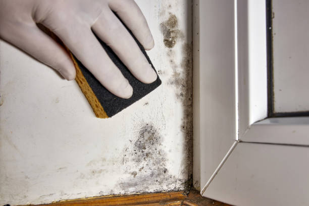 Best Post-Remediation Verification Testing  in North Logan, UT